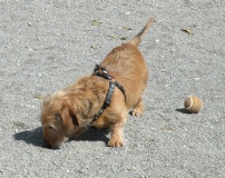 Film jaak 2009